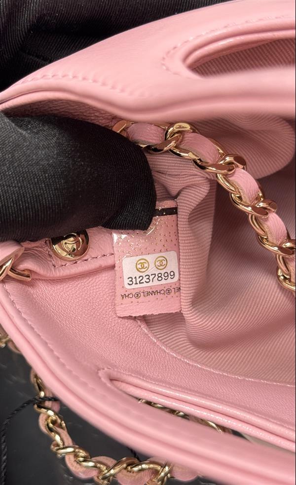 2026131221456529 550